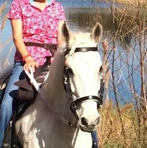 Meet your Posher, Lori